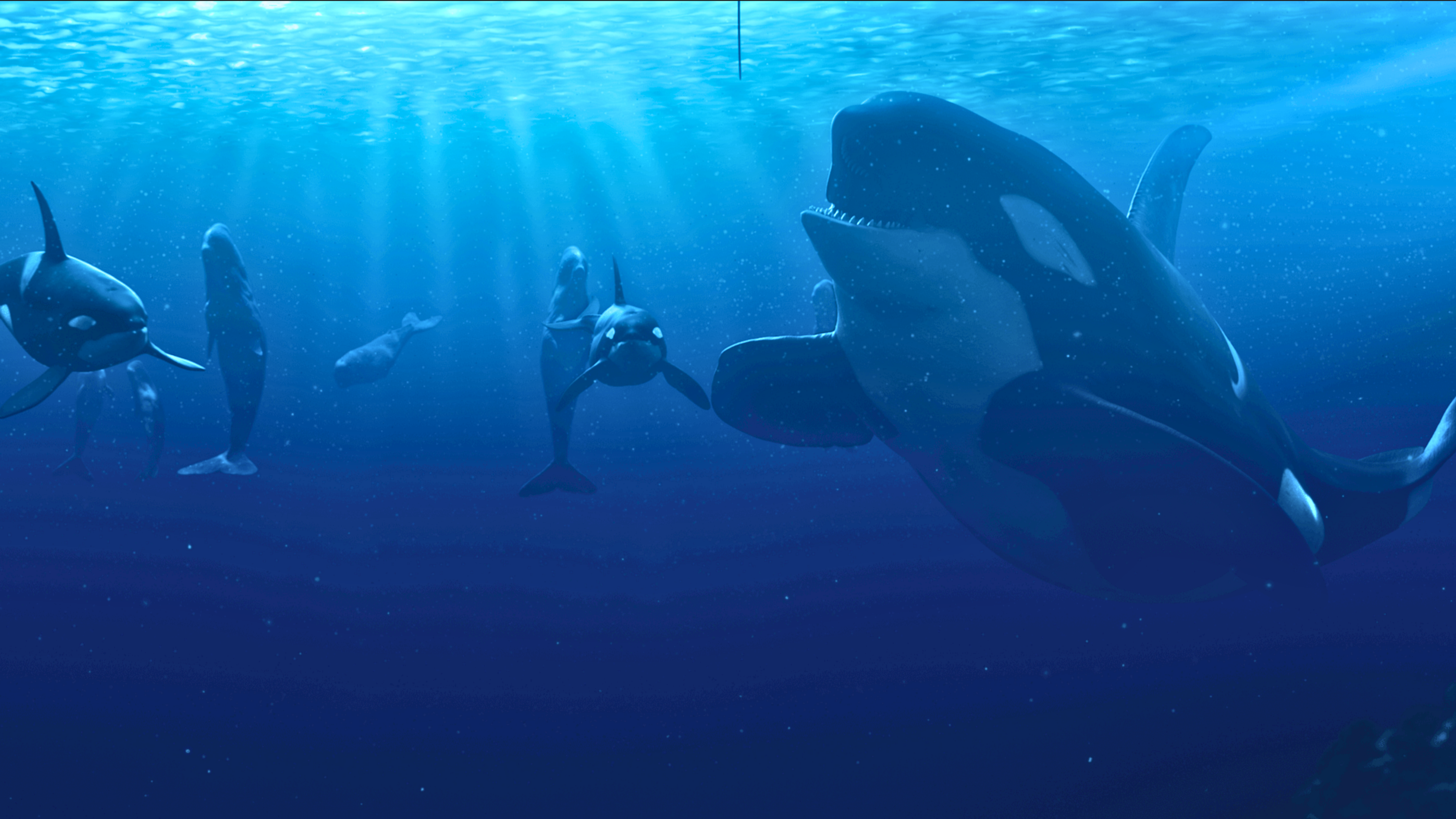 XPERIA CAROUSEL 2.png